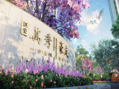 效果图