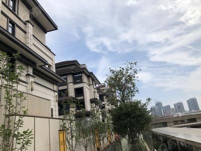 实景图