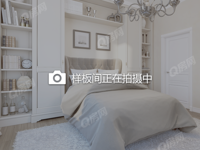 样板图